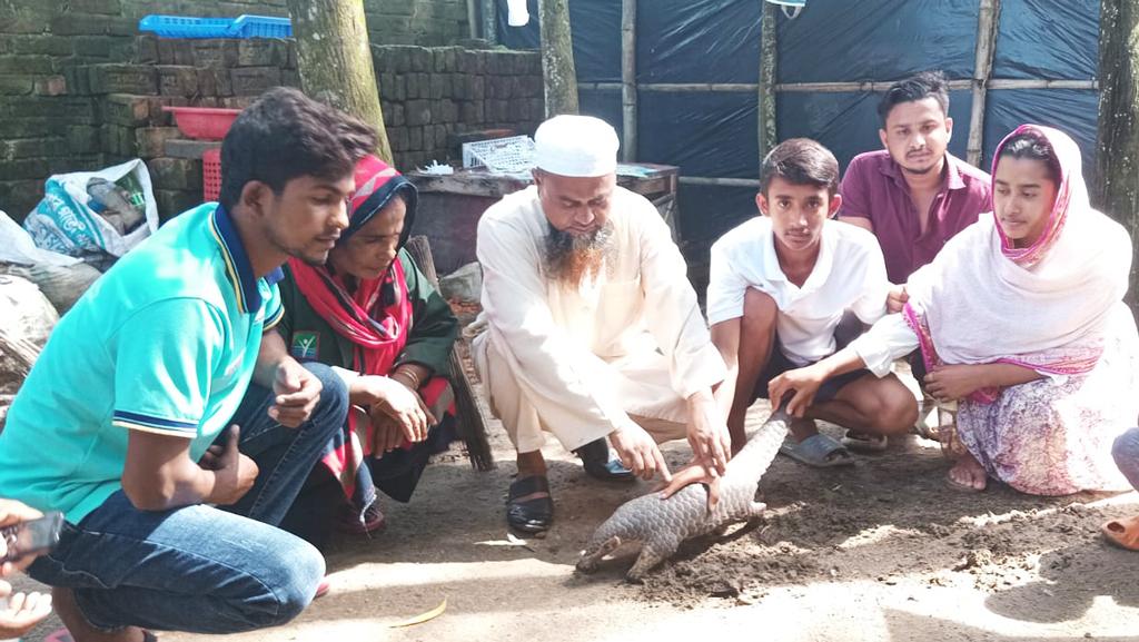 কক্সবাজারে সৈকতের ঝাউবনে মহাবিপন্ন বনরুই উদ্ধার