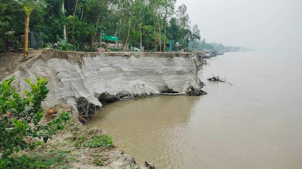 ভূঞাপুরে যমুনার তীব্র ভাঙন