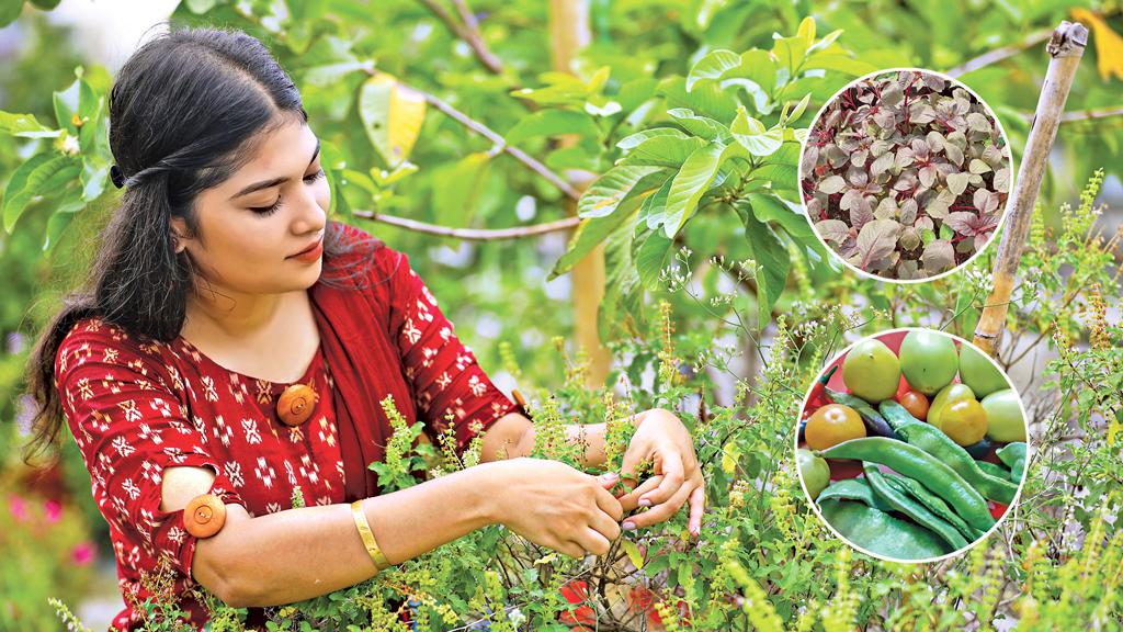 ছাদে হবে সবজির চাষ