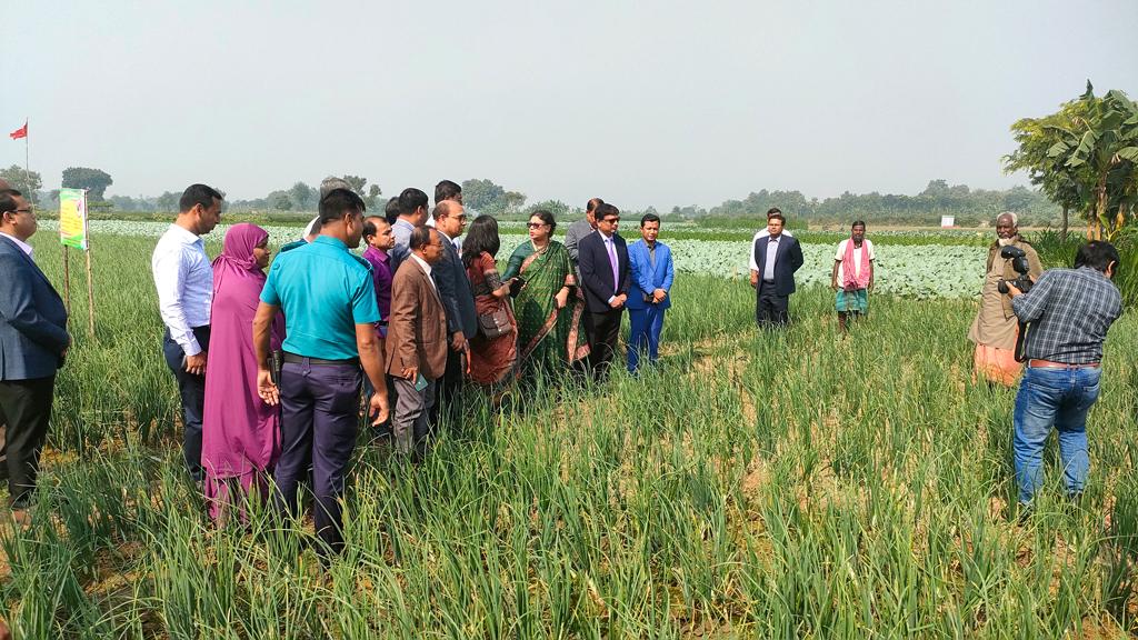 পেঁয়াজের আমদানি নির্ভরতা কমছে: কৃষি অধিদপ্তের মহাপরিচালক