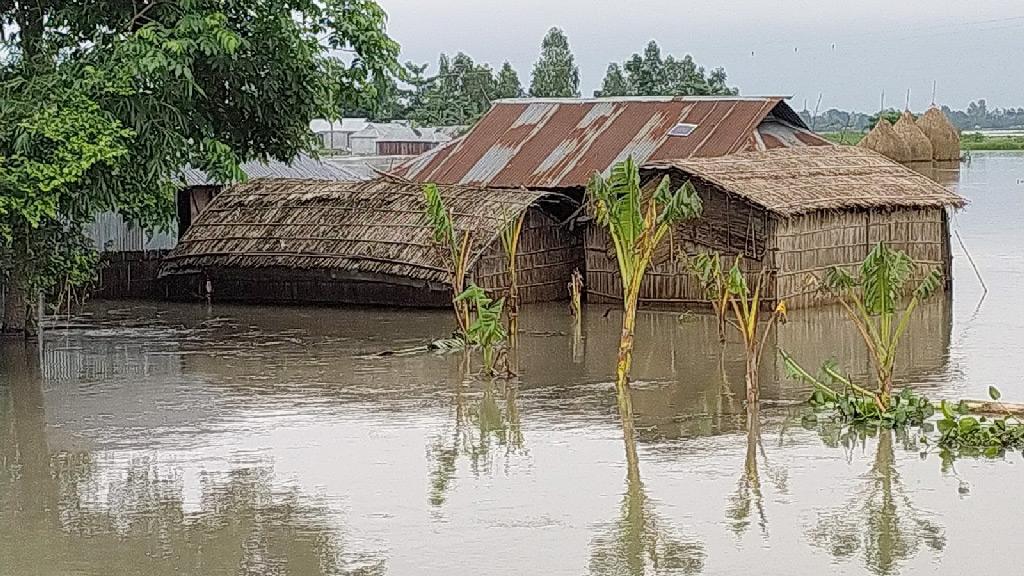 কুড়িগ্রামে কমছে নদ-নদীর পানি, স্বস্তি ফিরছে নিম্নাঞ্চলে 