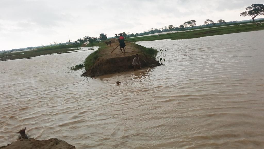 নেই পানির চাপ, তবুও ভেঙে গেছে বাঁধ