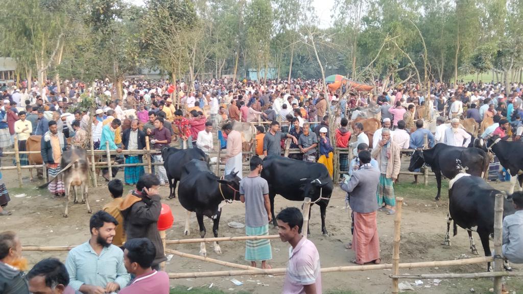 জামালপুরের ইসলামপুরে সিন্ডিকেটের কবলে হাট ইজারা