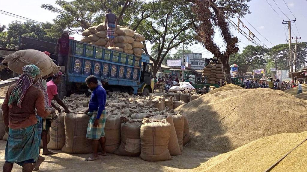 সরকারিভাবে ধান-চাল সংগ্রহ: বাজারের চেয়ে দাম কম, হয়রানি বেশি