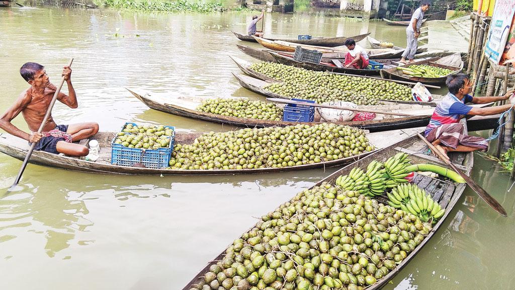 আমড়ায় ভাগ্য ফিরেছে যাদের