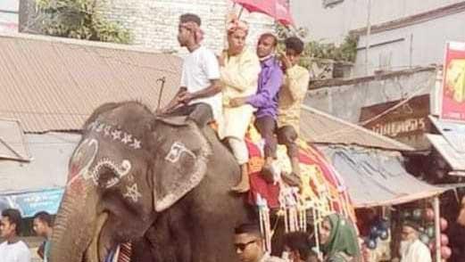 বর আনতে হাতি পাঠালেন কনের মা