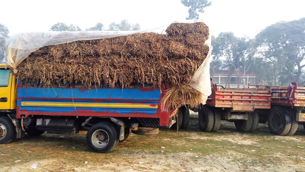 স্কুলের খেলার মাঠে গাড়ি পার্কিং