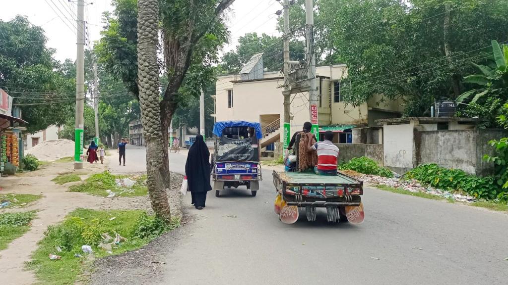 সড়কের মাঝে ৫৩টি গাছ বাড়ছে দুর্ঘটনার ঝুঁকি