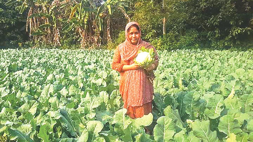 কৃষিতে সফল নুরুন্নাহার