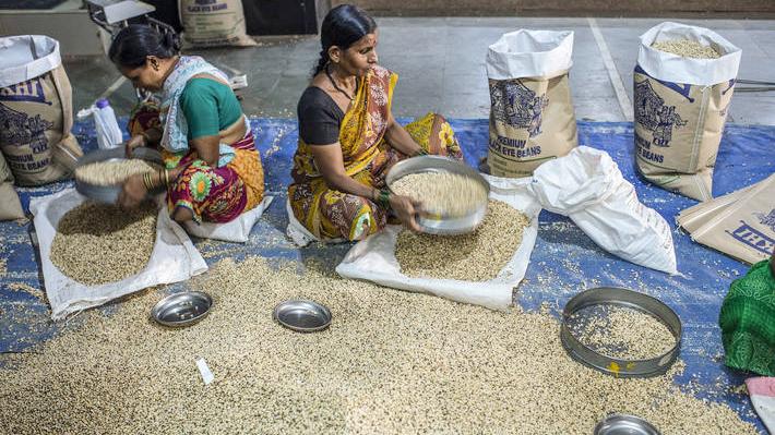 বিশ্বে খাদ্যপণ্যের দাম এক দশকে সর্বোচ্চ