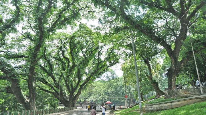 সিআরবিতে হাসপাতাল নির্মাণ ইস্যুতে আলোচনায় বসবে রেল মন্ত্রণালয়