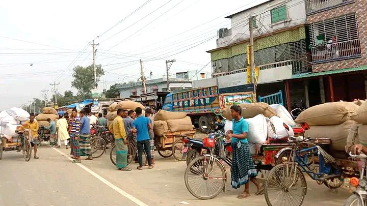 কাটারিভোগ ধানের দাম মণে কমল ৩০০ টাকা