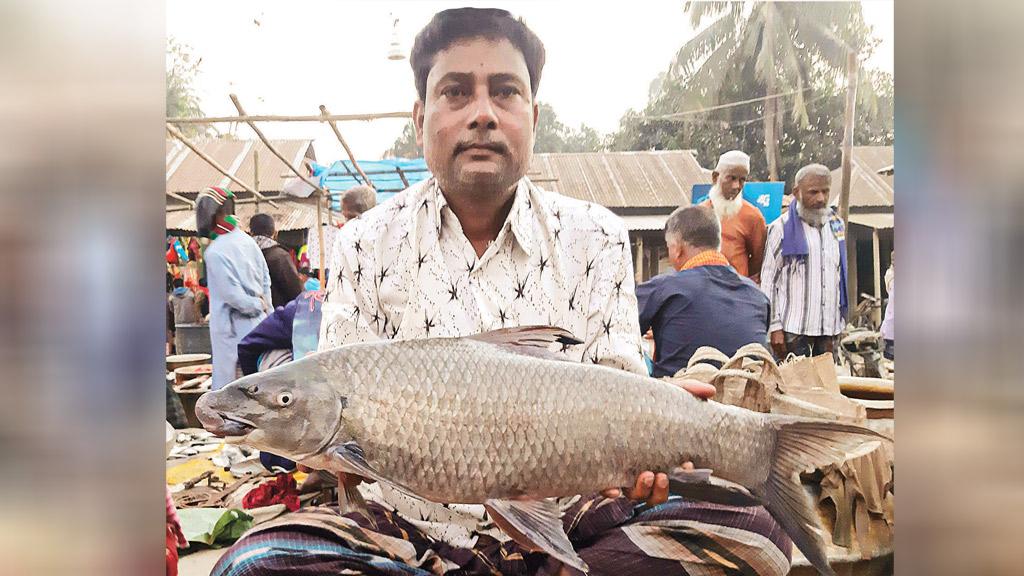 গঙ্গাধরে মহাবিপন্ন মহাশোল