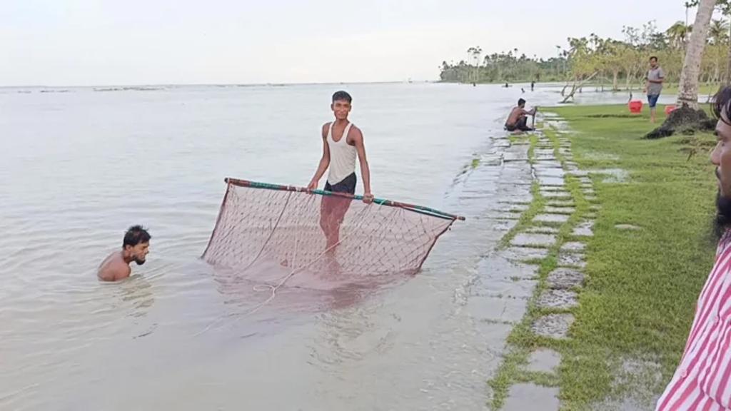 ভোলায় ২২ ড্রাম রেণু জব্দ, দুজনের জরিমানা