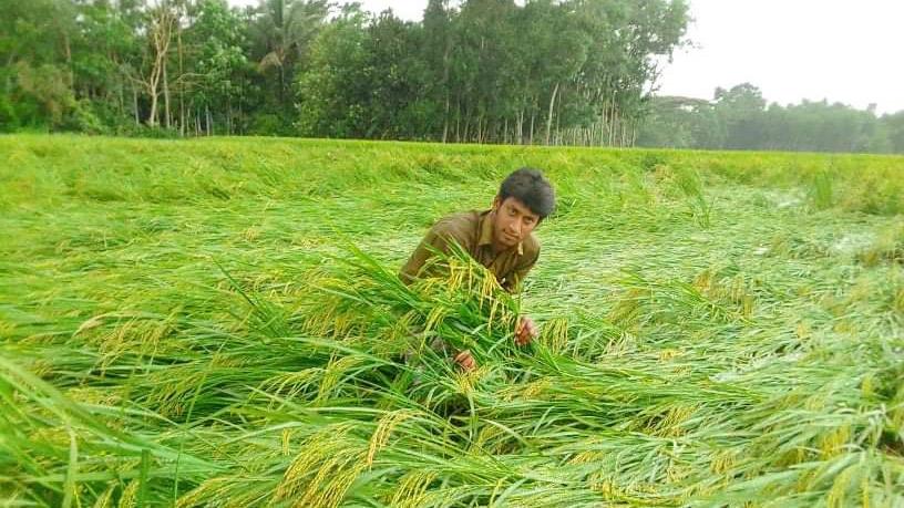 ঝড়ের তাণ্ডবে স্বপ্ন ভাঙল সেচ প্রকল্পের কৃষকদের