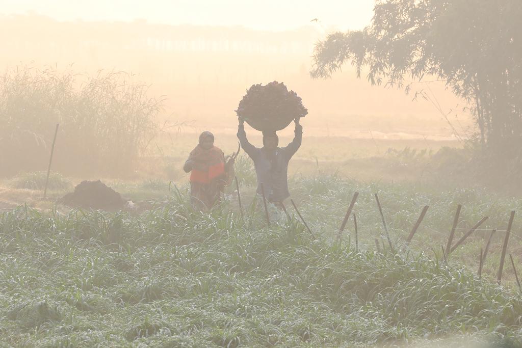 দেশের সর্বনিম্ন তাপমাত্রা