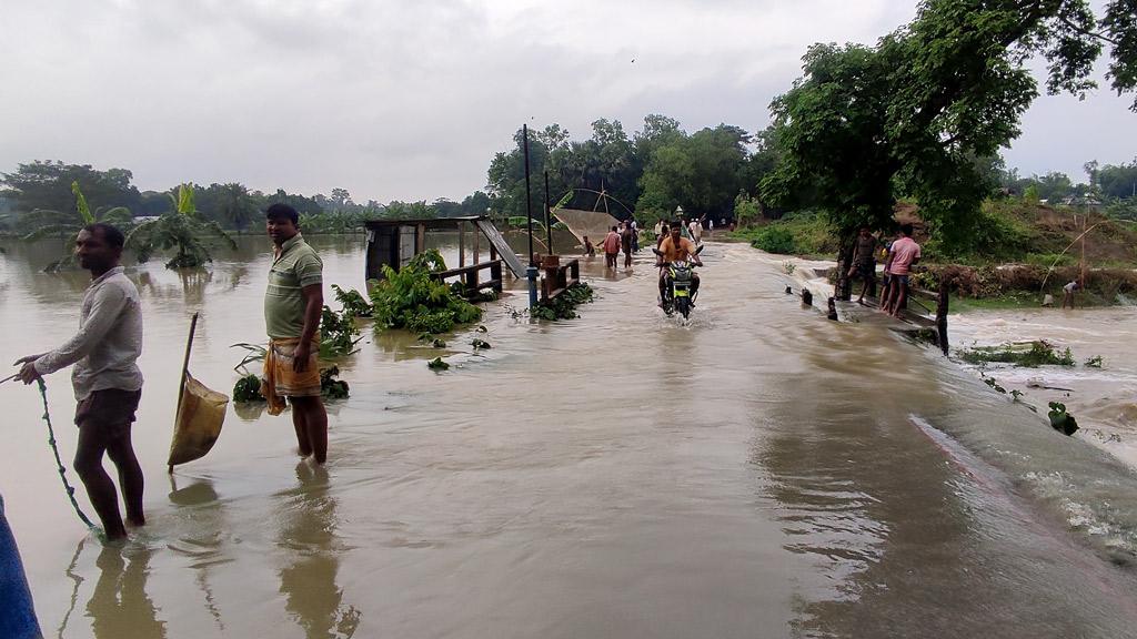 শ্রীপুরে বৃষ্টিতে তলিয়েছে খেতখামার, ক্ষতিগ্রস্ত রাস্তাঘাট