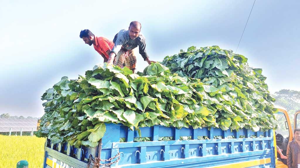 ভরা মৌসুমেও চড়া দাম