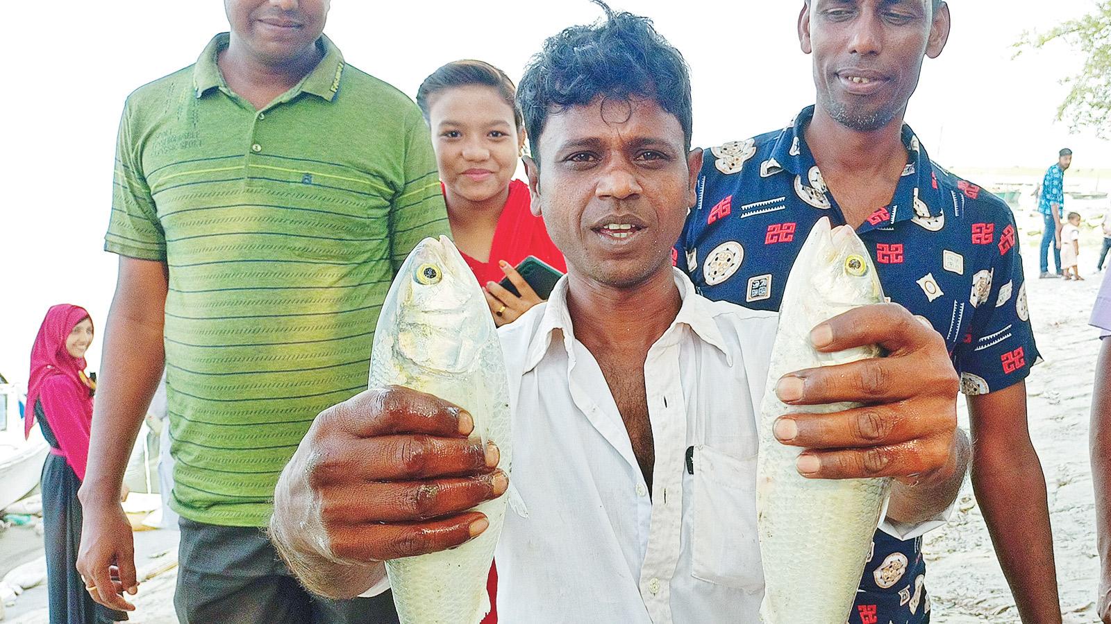 তিস্তার রুপালি ইলিশে জেলেদের মুখে হাসি