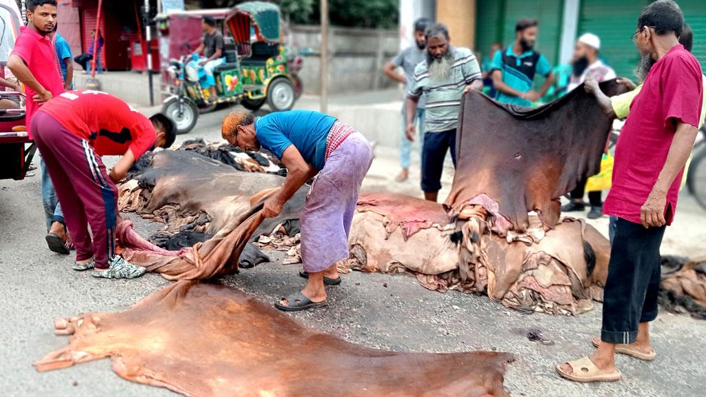 ৫ বছর পর চামড়ায় লোকসান এড়ালেন রাজশাহীর মৌসুমি ব্যবসায়ীরা 