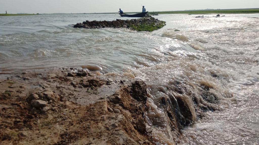 বাঁধ ভেঙে প্লাবিত ধানখেত