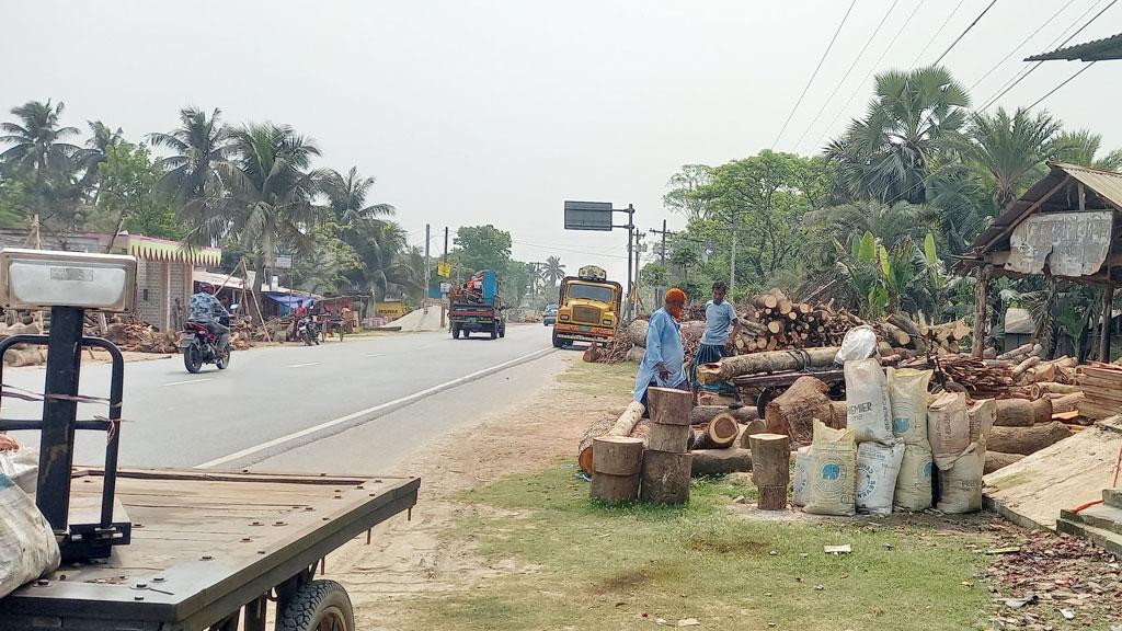 মহাসড়কের পাশে কাঠের স্তূপ, ঘটছে দুর্ঘটনা