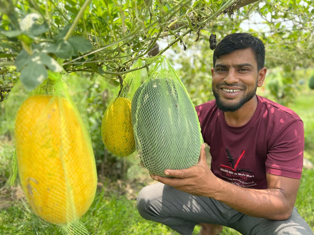 বারোমাসি তরমুজ চাষ করে ধামইরহাটে সাড়া ফেলেছেন আজিজার