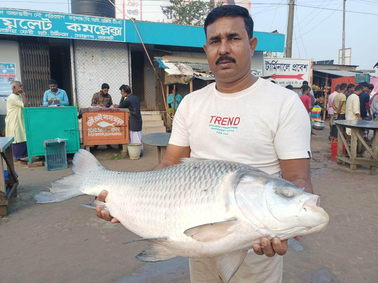 পদ্মার এক কাতলা বিক্রি হলো ২৯ হাজারে