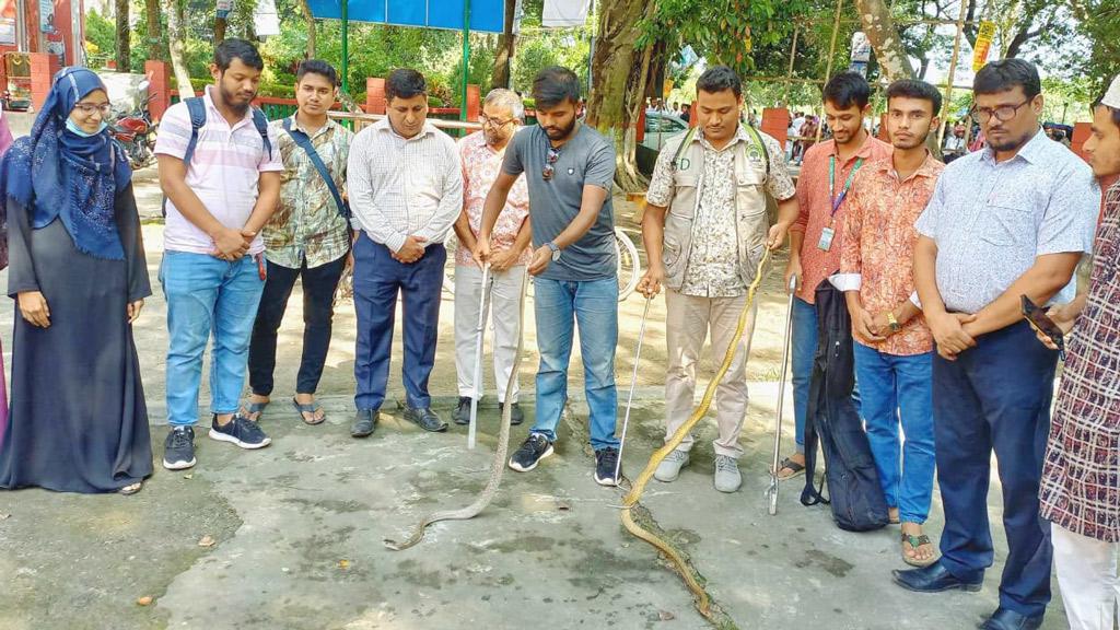 বগুড়ায় উদ্ধার করা ৩টি সাপ বন্যপ্রাণী বিভাগে হস্তান্তর