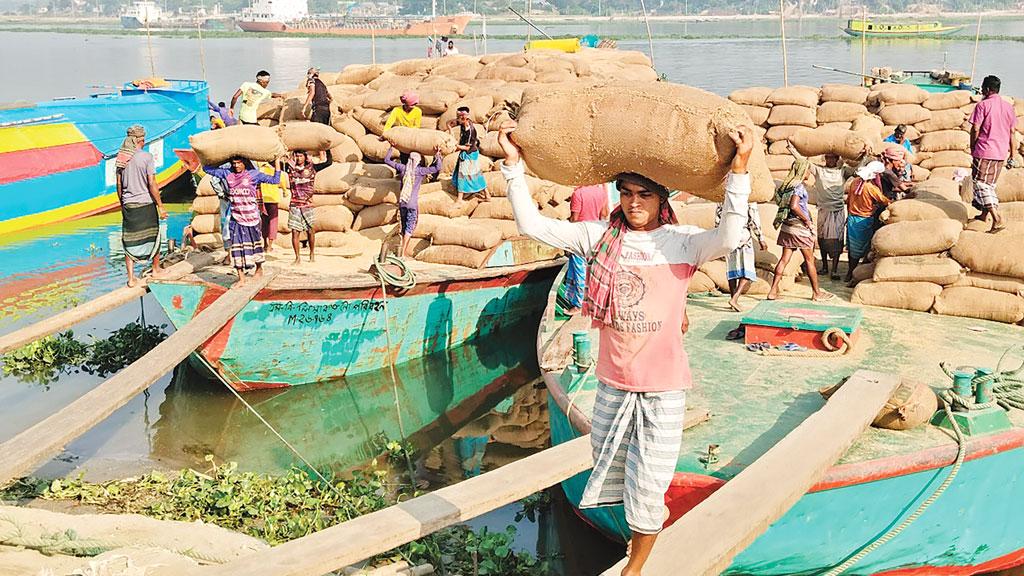 মোকামে ধানের সংকট, বাড়ছে চালের দাম