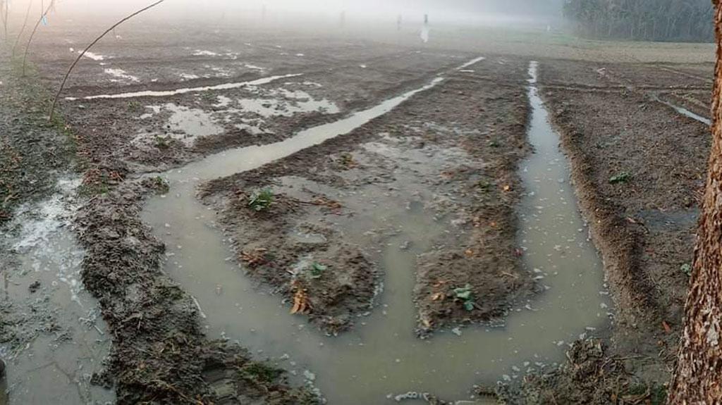 সেচের জন্য কাটল বাঁধ প্লাবিত তরমুজের হাসি