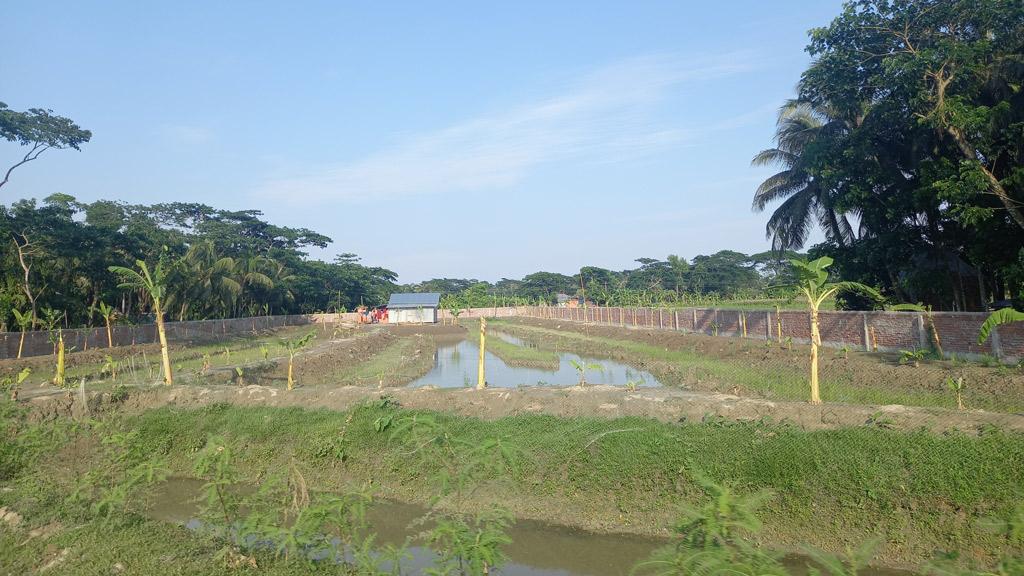 স্থাপনা নির্মাণ আর নদী ভাঙনে কমছে কৃষিজমি