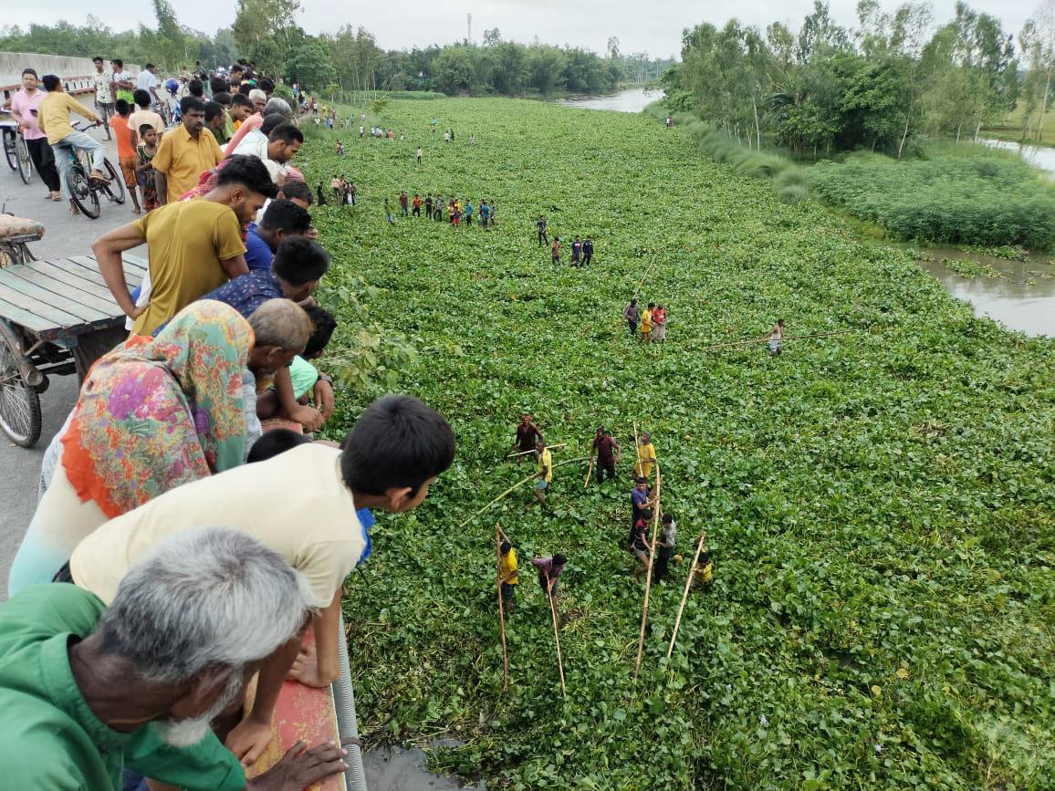 কচুরিপানার ওপর চলছে হাঁটা-চলা, ফুটবল খেলাও