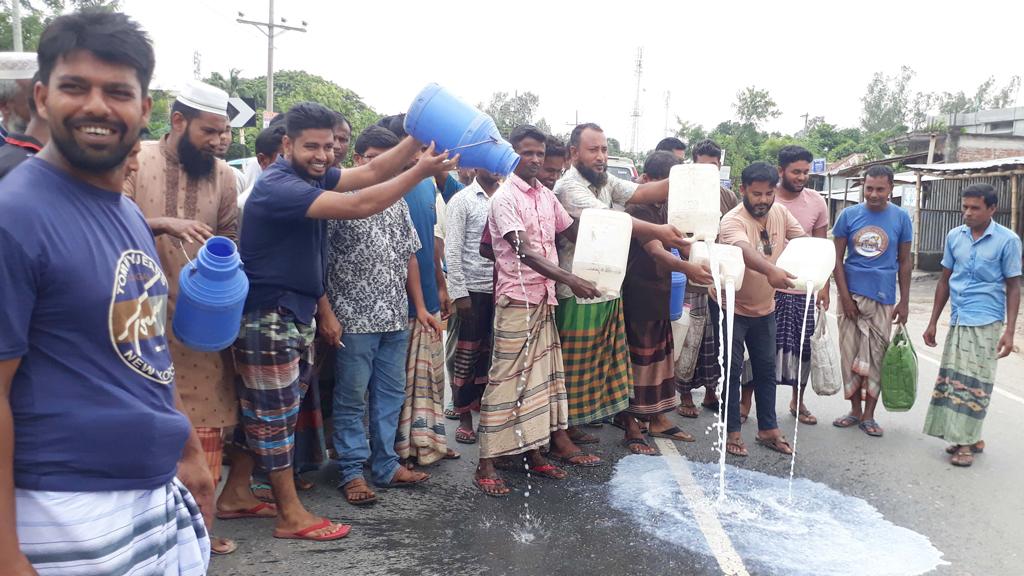 ন্যায্যমূল্যের দাবিতে সড়কে দুধ ঢেলে খামারিদের প্রতিবাদ