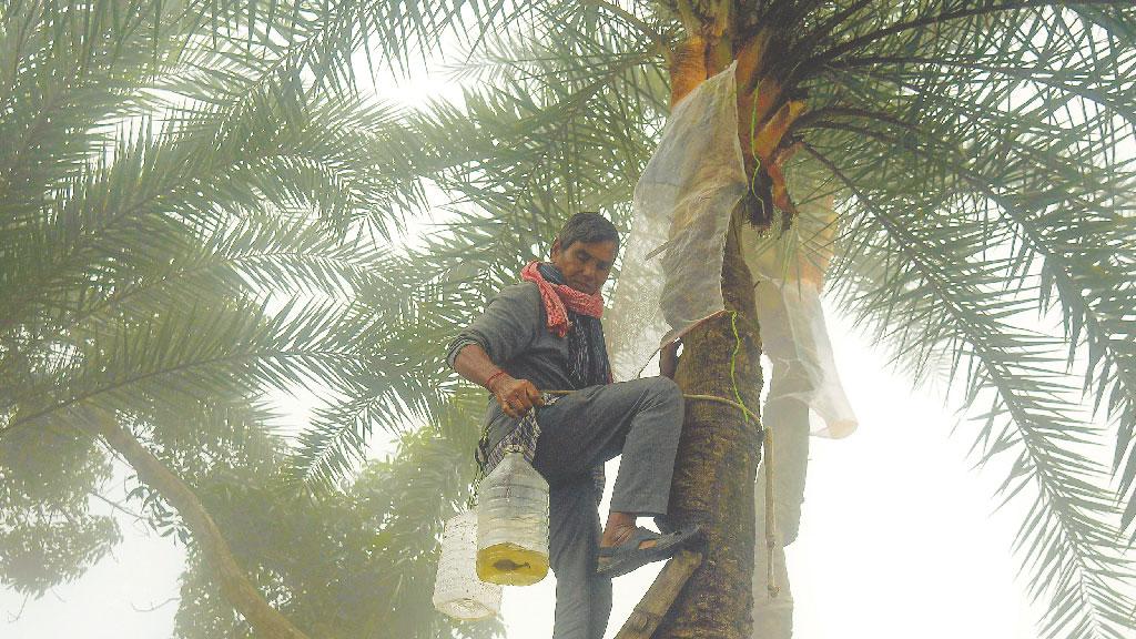 রসের গ্রাম জগদীশপুর