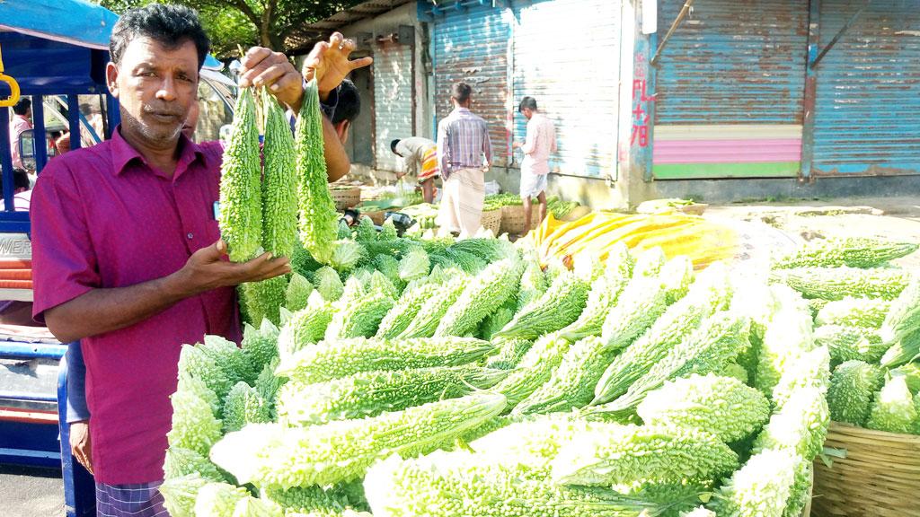 সাথী ফসল হিসেবে করলা চাষে লাভবান কৃষক