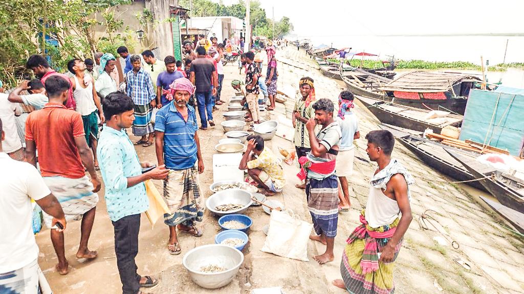 পদ্মাপাড়ের মাছের হাটে বছরে আয় শতকোটি টাকা