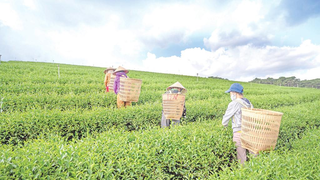 ইসলামে শ্রম ও মজুরির ধারণা