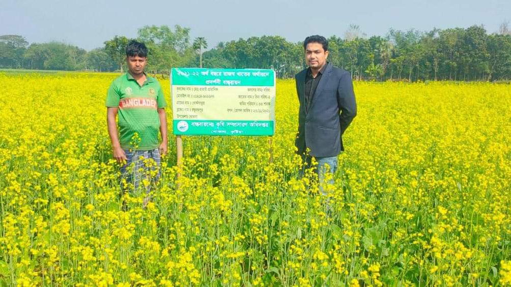 খোকসায় লক্ষ্যমাত্রার বেশি সরিষার আবাদ