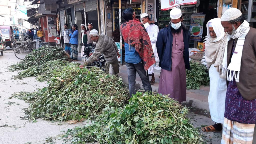 চাহিদা বেড়েছে দেশি মিষ্টি আলুর লতা র