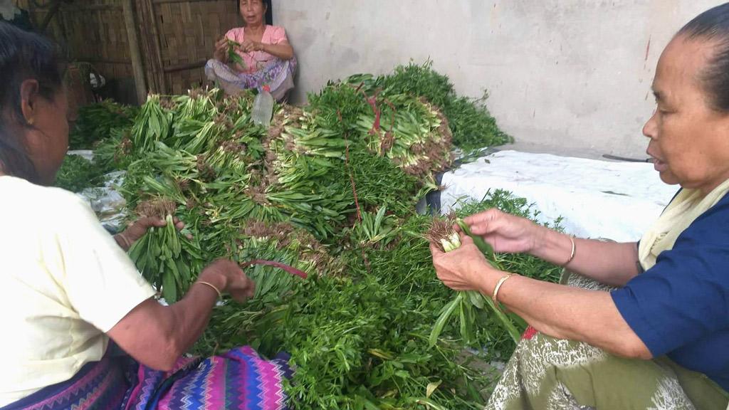 বিলেতি ধনেপাতা চাষে স্বাবলম্বী কাপ্তাইয়ের প্রান্তিক চাষিরা, যাচ্ছে সারা দেশে