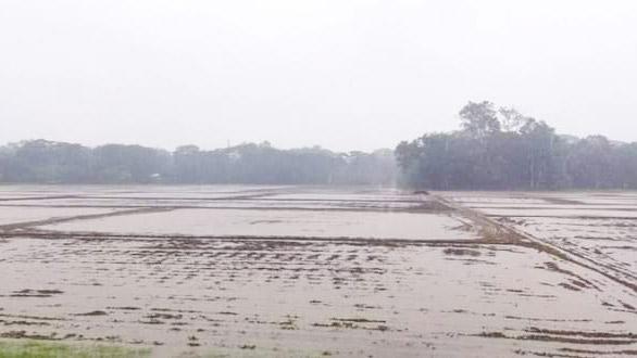 ১৩০০ হেক্টরের সবজি পানির নিচে