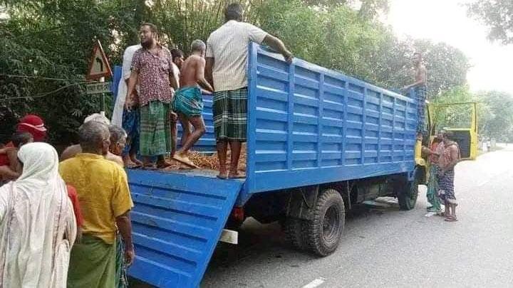 ট্রাক নিয়ে গরু চুরি, ধাওয়া খেয়ে সব রেখে পালাল চোরের দল