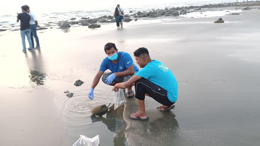 ইনানী সমুদ্র সৈকত ও রেজুখালে ভেসে এল আরও ৩ কচ্ছপ