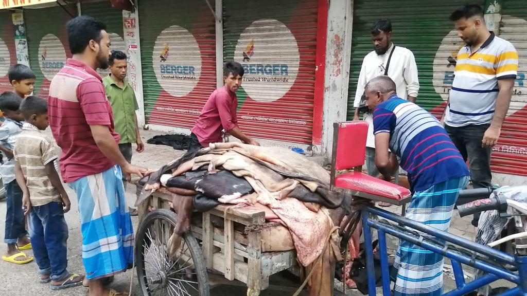 মন্ত্রীর হুমকিতেও দাম বাড়েনি গরুর চামড়ার, ছাগলেরটি ফ্রিতেও নেয় না