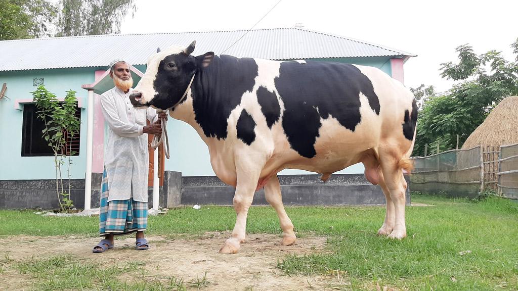 এবারও স্বপ্নরাজে স্বপ্ন খামারির