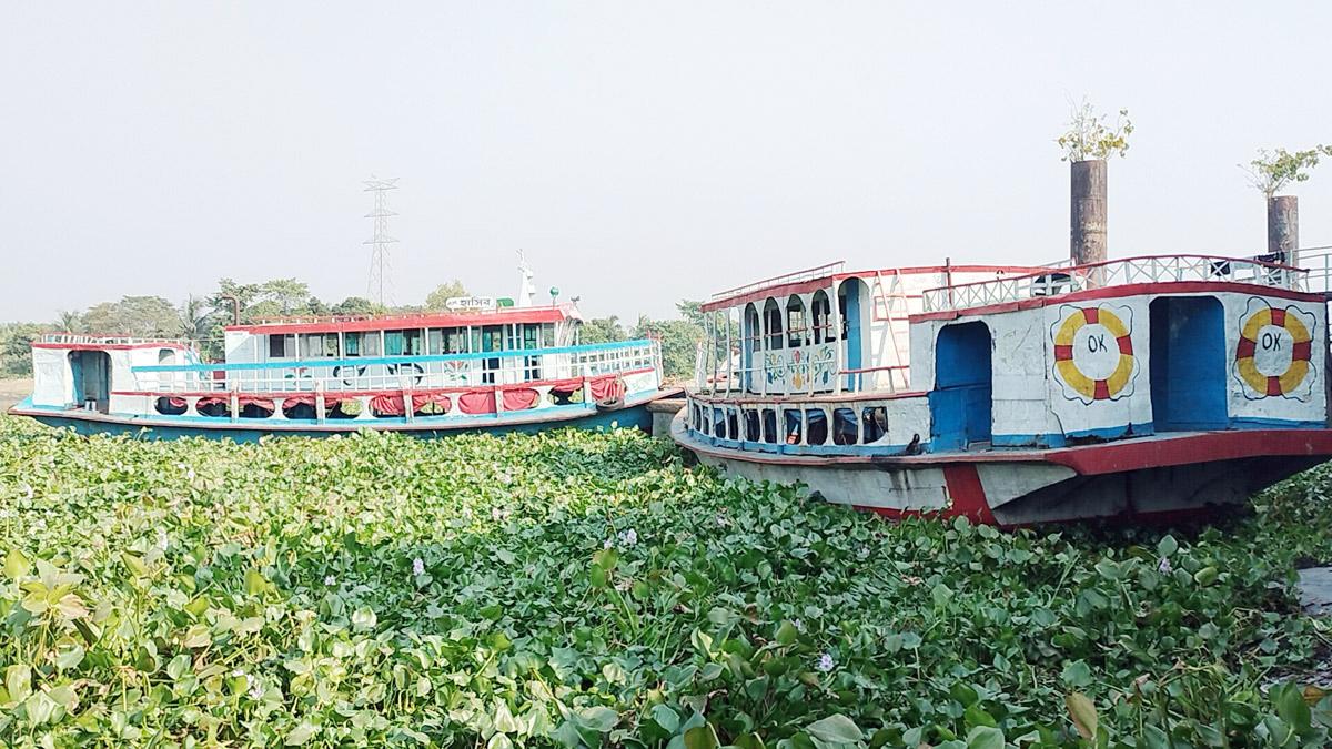 নদীতে কচুরিপানার জটে নৌ চলাচল বন্ধ