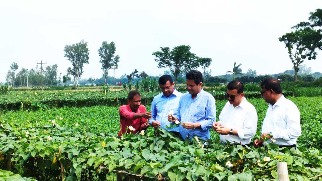 জৈব বালাইনাশকের উপযোগিতা পরীক্ষায় কৃষিবিজ্ঞানীদের সহায়তা ইউসিবির