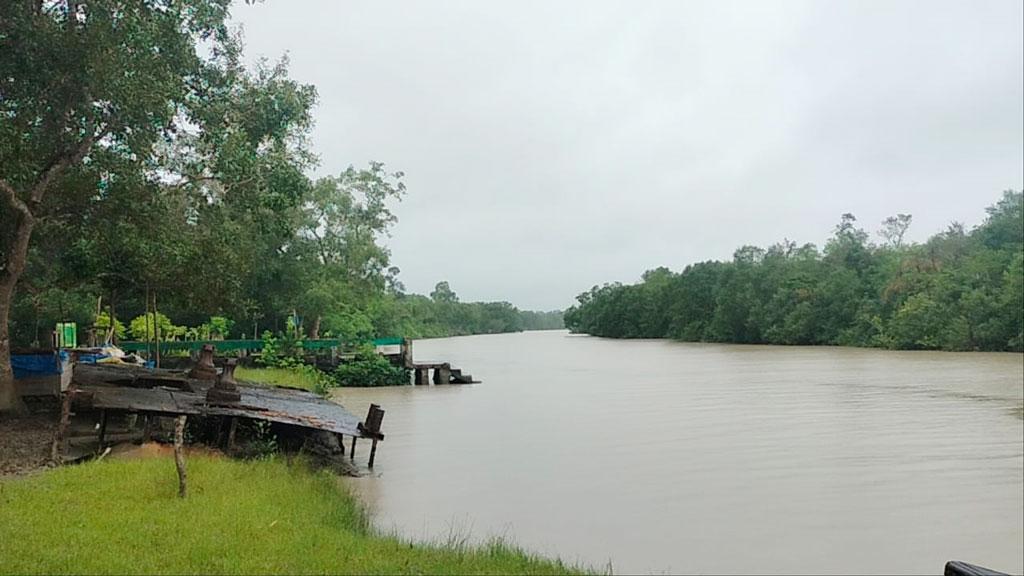 সুন্দরবনে বিষ দিয়ে মাছ শিকার, গ্রেপ্তার ৩ 