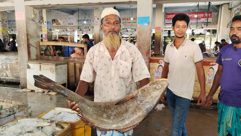 জালে ধরা পড়া ২১ কেজির ভোল সাড়ে ৩ লাখে বিক্রি